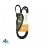 تسمه دینام 1663 پژو 405 رایکالتون