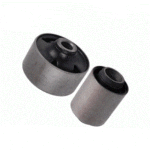 بوش بزرگ طبق چانگان سواری EDO