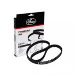 تسمه تایم پاور گریپ ساینا و کوییک