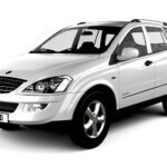 شمع موتور مناسب کایرون 2014 ( 3200CC )